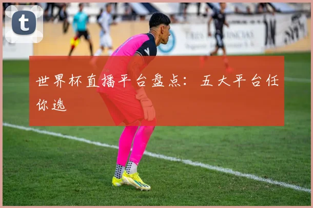 世界杯直播平台盘点：五大平台任你选