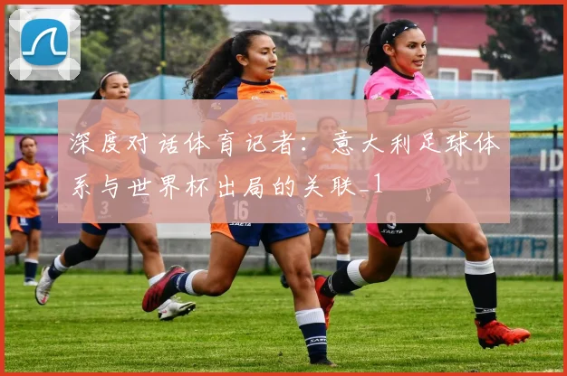 深度对话体育记者：意大利足球体系与世界杯出局的关联_1