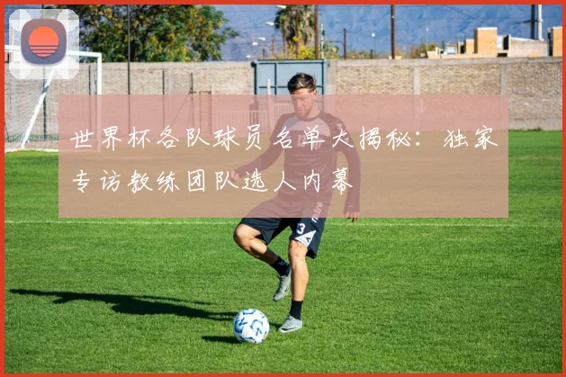 世界杯各队球员名单大揭秘：独家专访教练团队选人内幕