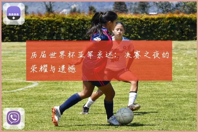 历届世界杯亚军亲述：决赛之夜的荣耀与遗憾