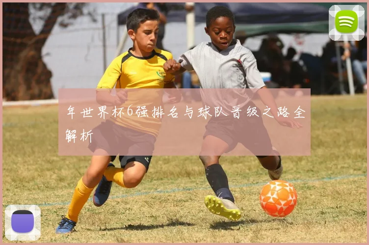 年世界杯6强排名与球队晋级之路全解析