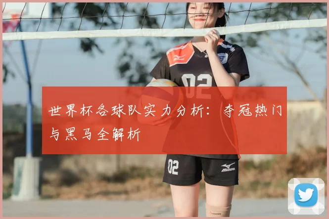世界杯各球队实力分析：夺冠热门与黑马全解析