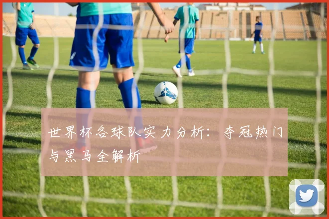世界杯各球队实力分析：夺冠热门与黑马全解析
